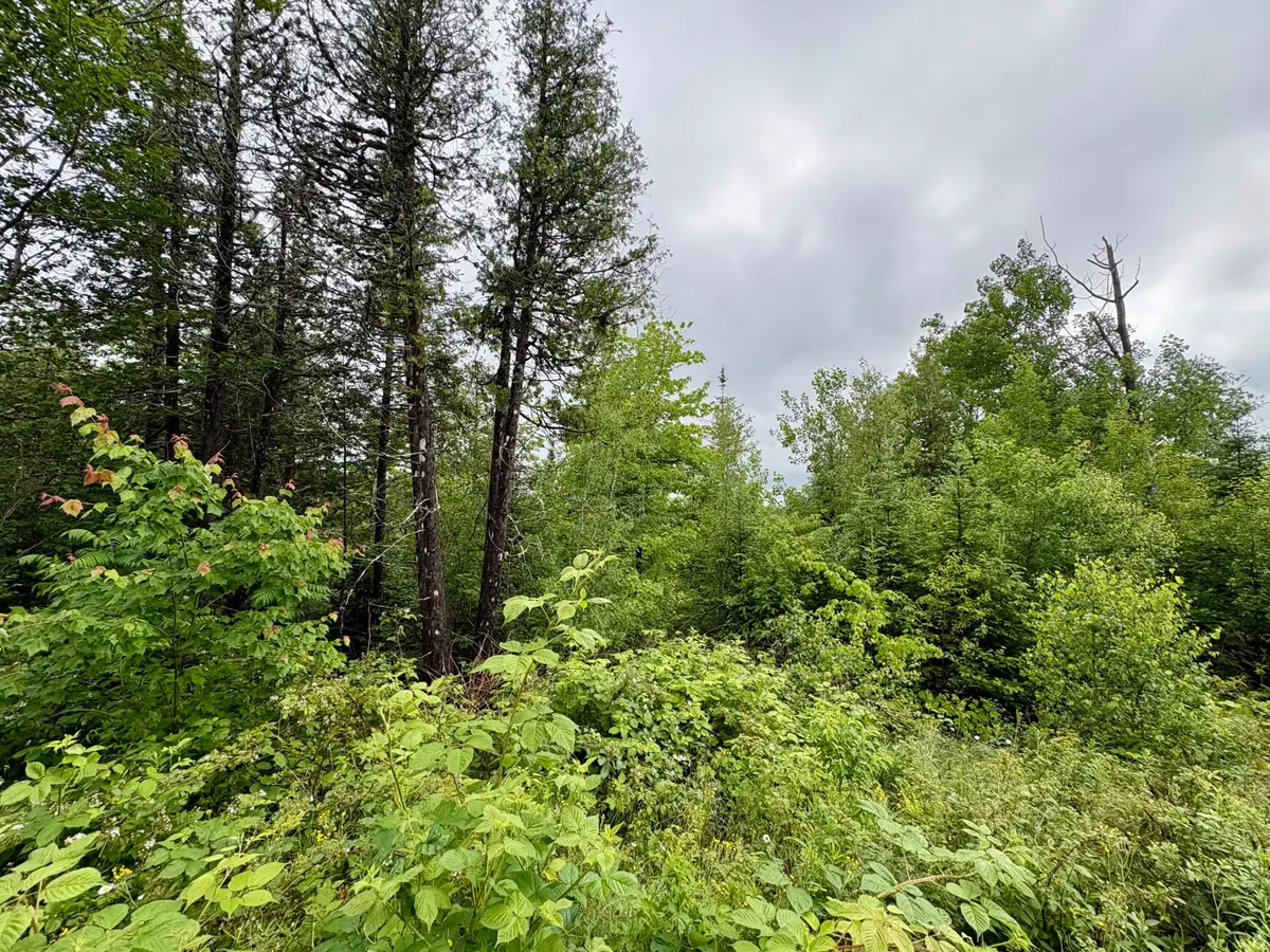 Lot 12 Mt. Jefferson Heights, Lee, ME 04455 - #1