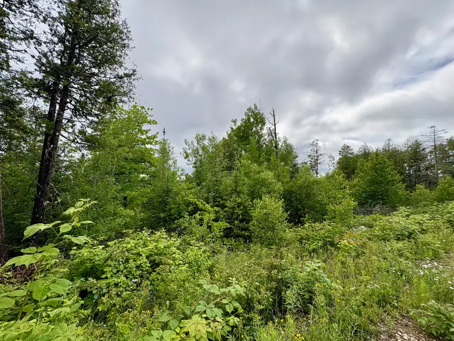 Lot 12 Mt. Jefferson Heights, Lee, ME 04455 - #3