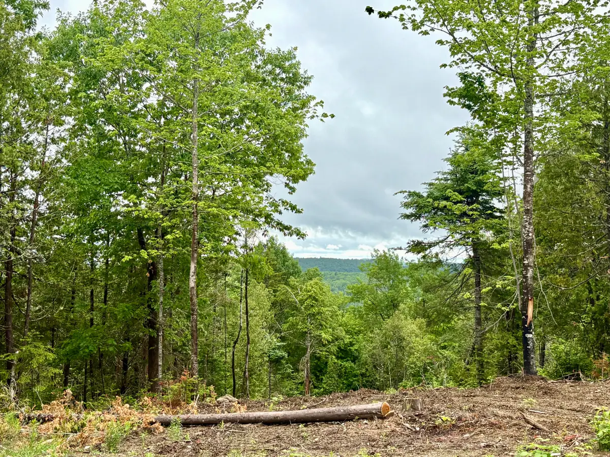Lot 13 Mt. Jefferson Heights, Lee, ME 04455 - #1