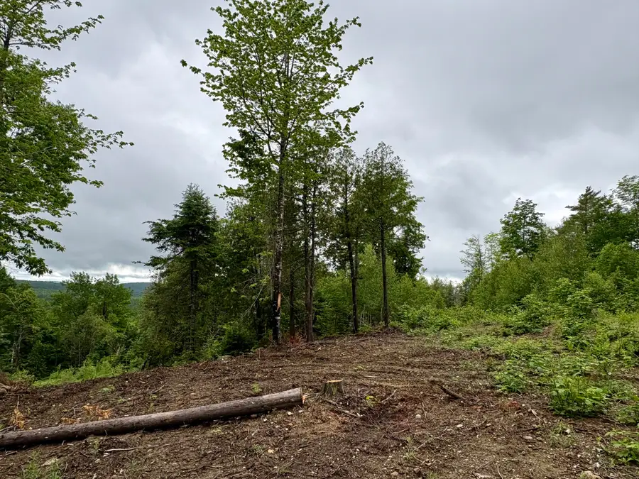 Lot 13 Mt. Jefferson Heights, Lee, ME 04455 - #3