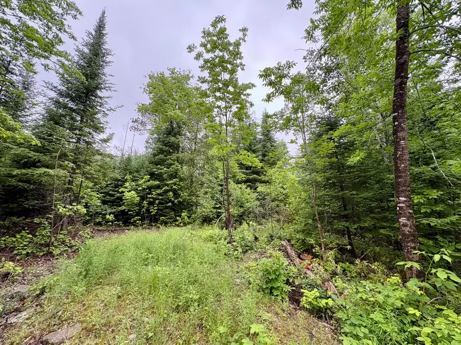 Lot 1 Mt. Jefferson Heights, Lee, ME 04455 - #2