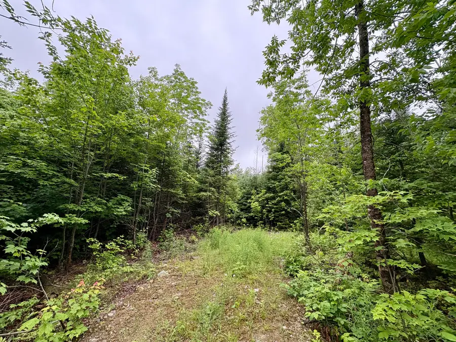 Lot 1 Mt. Jefferson Heights, Lee, ME 04455 - #3