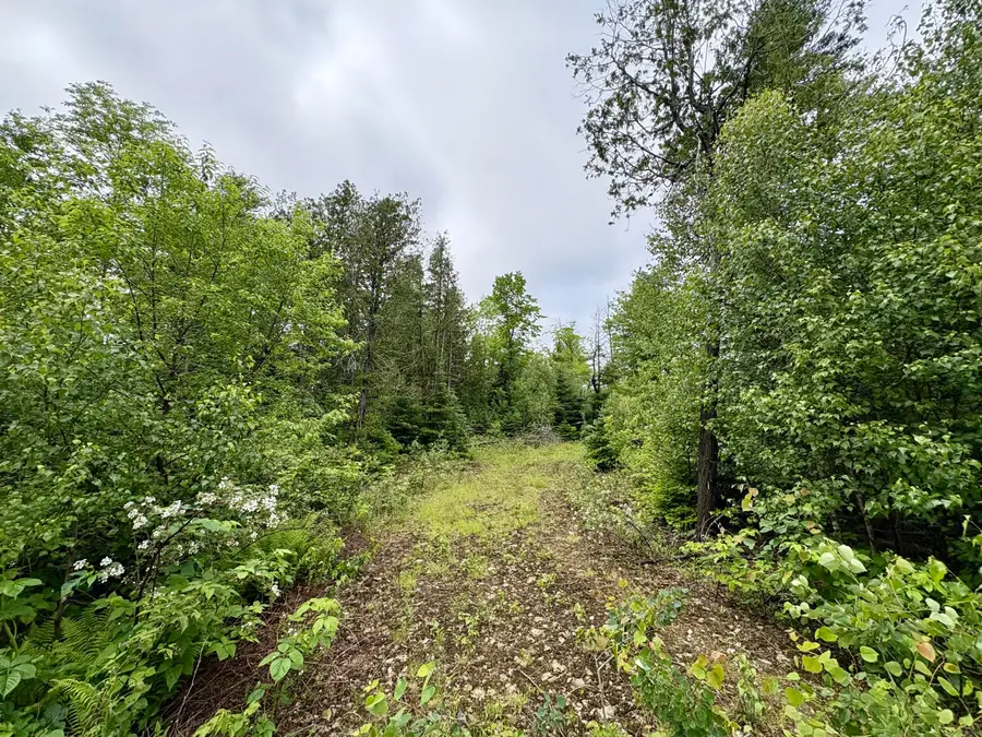 Lot 2 Mt. Jefferson Heights, Lee, ME 04455 - #2
