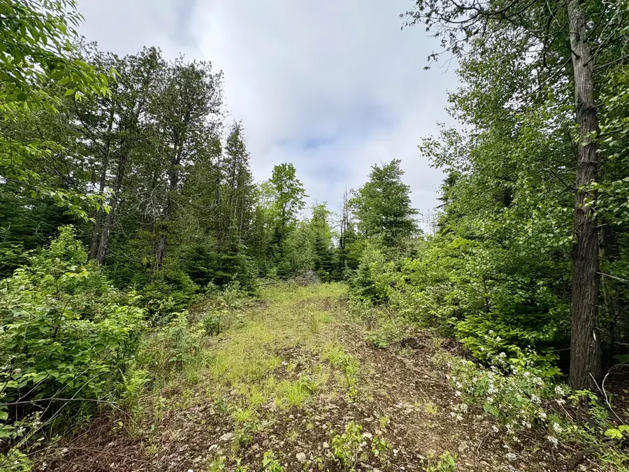 Lot 2 Mt. Jefferson Heights, Lee, ME 04455 - #3