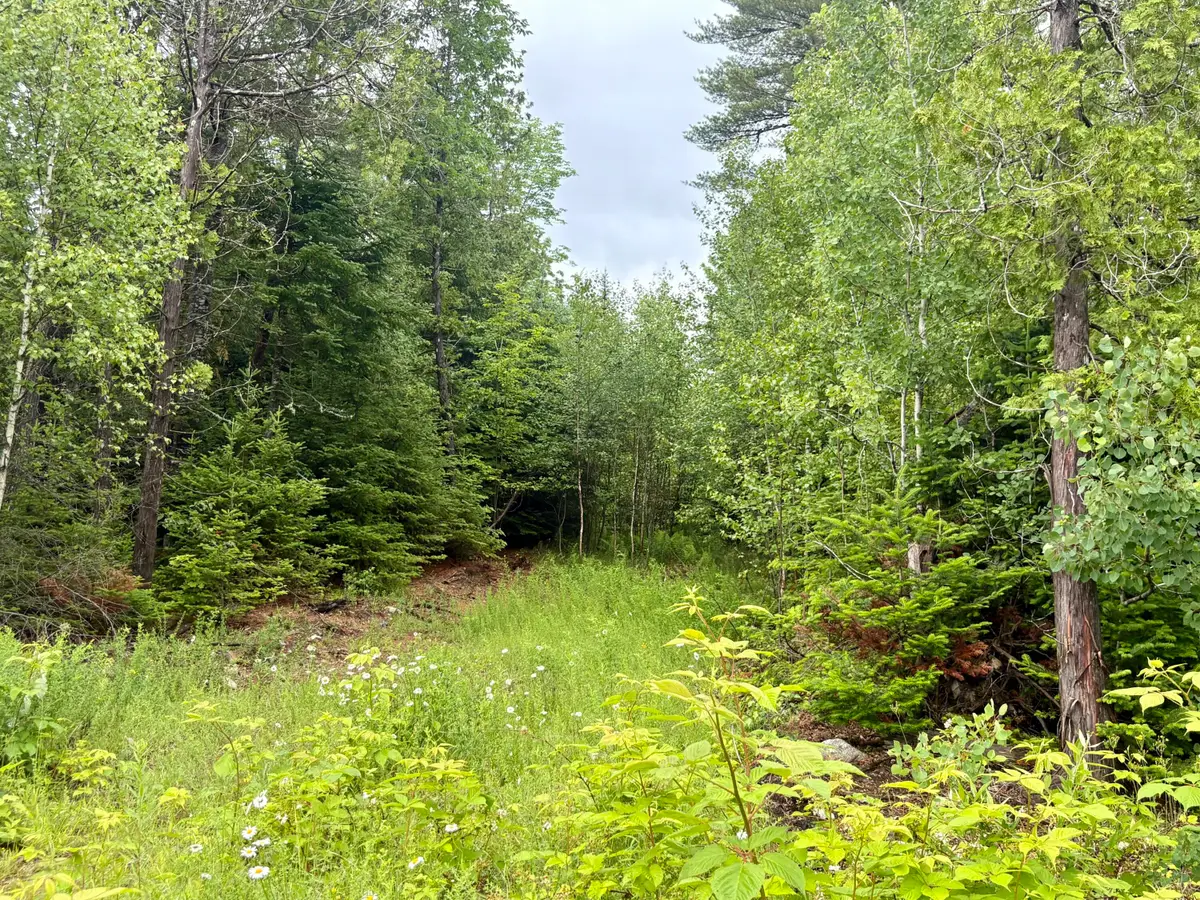 Lot 3 Mt. Jefferson Heights, Lee, ME 04455 - #1