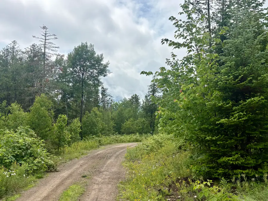 Lot 3 Mt. Jefferson Heights, Lee, ME 04455 - #3