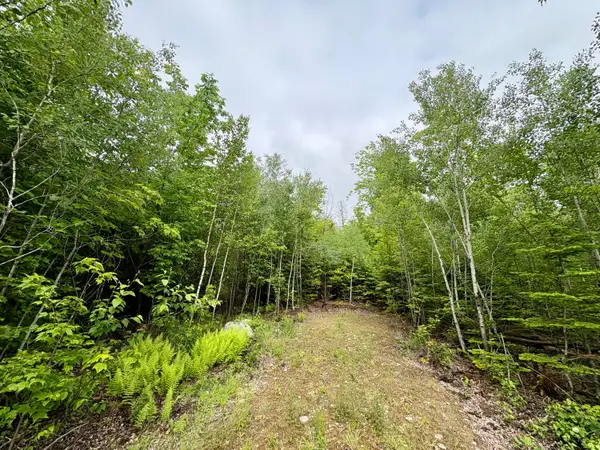 Lot 4 Mt. Jefferson Heights, Lee, ME 04455