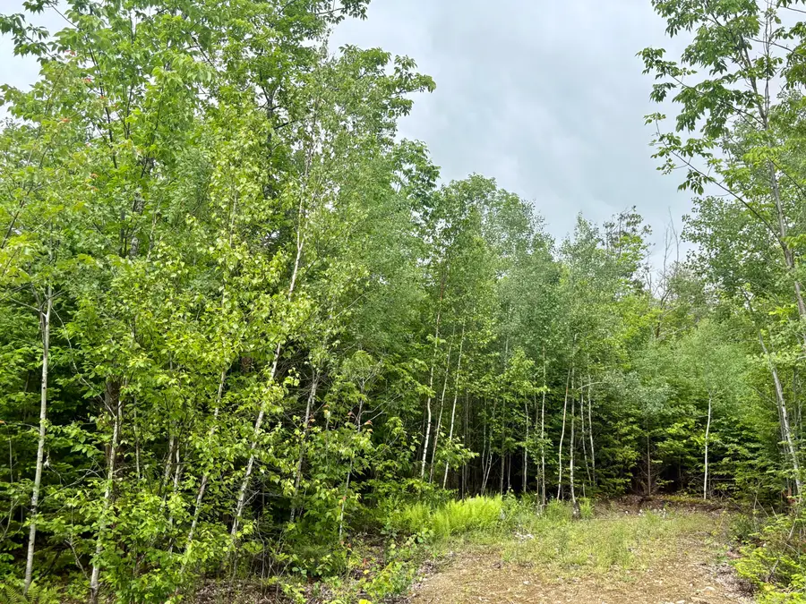 Lot 4 Mt. Jefferson Heights, Lee, ME 04455 - #2