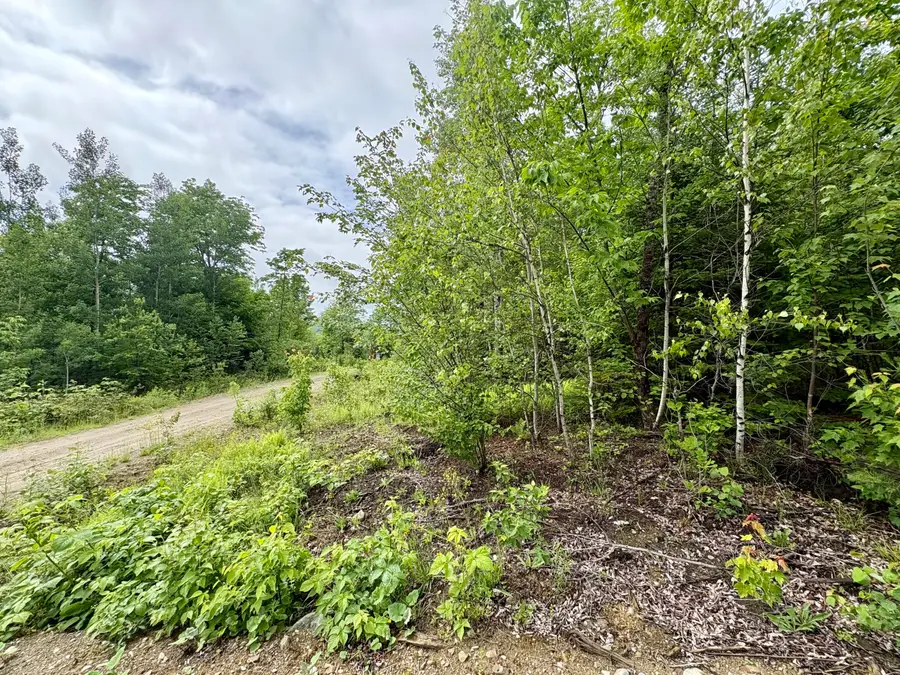 Lot 4 Mt. Jefferson Heights, Lee, ME 04455 - #3
