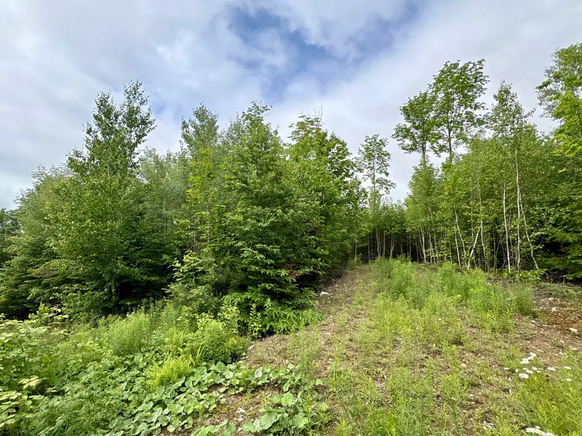 Lot 5 Mt. Jefferson Heights, Lee, ME 04455 - #1