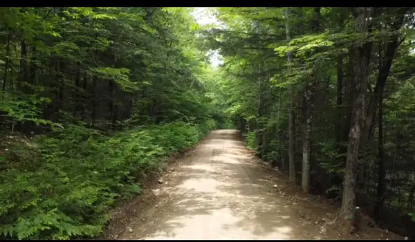 Lot 14 Hanslip Road, Wilton, ME 04294