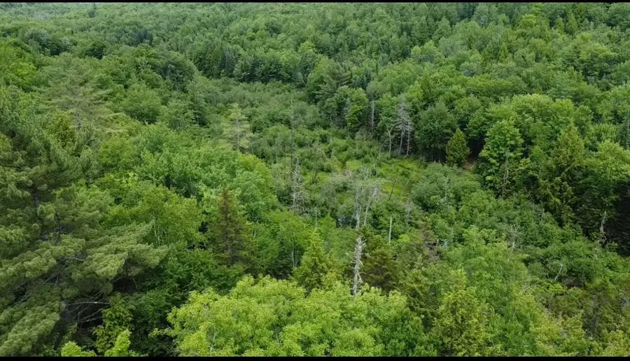 Lot 14 Hanslip Road, Wilton, ME 04294 - #2