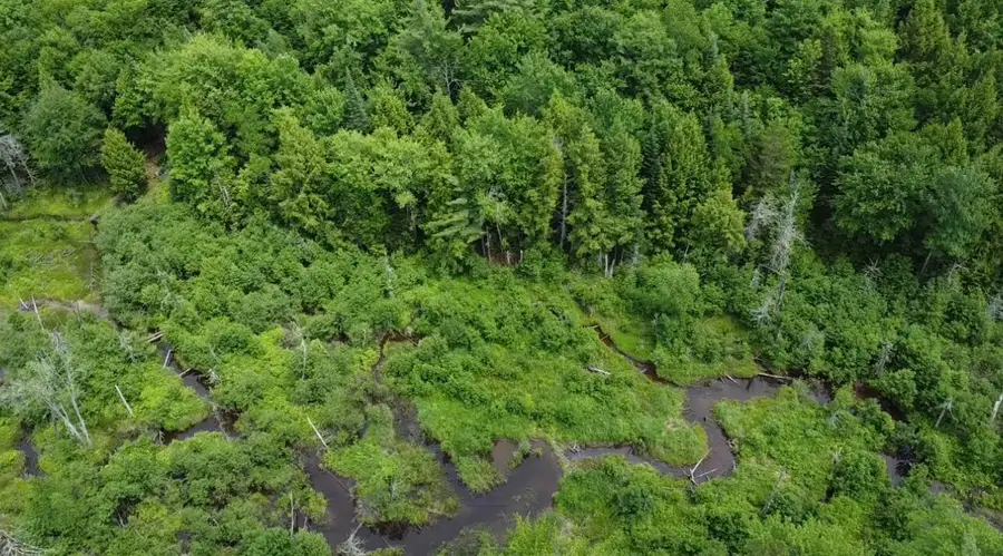 Lot 14 Hanslip Road, Wilton, ME 04294 - #3