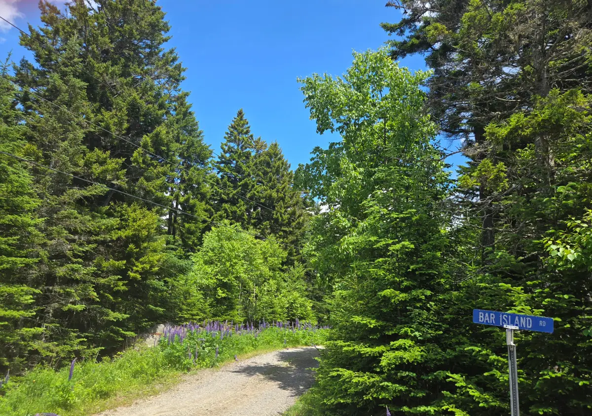 9-10 Wohoa Bay Drive, Addison, ME 04606 - #1