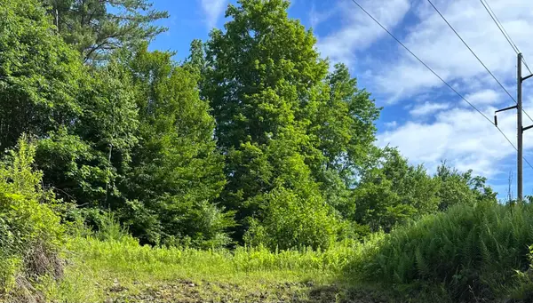 Lot 020 Canton Mountain Road, Jay, ME 04239