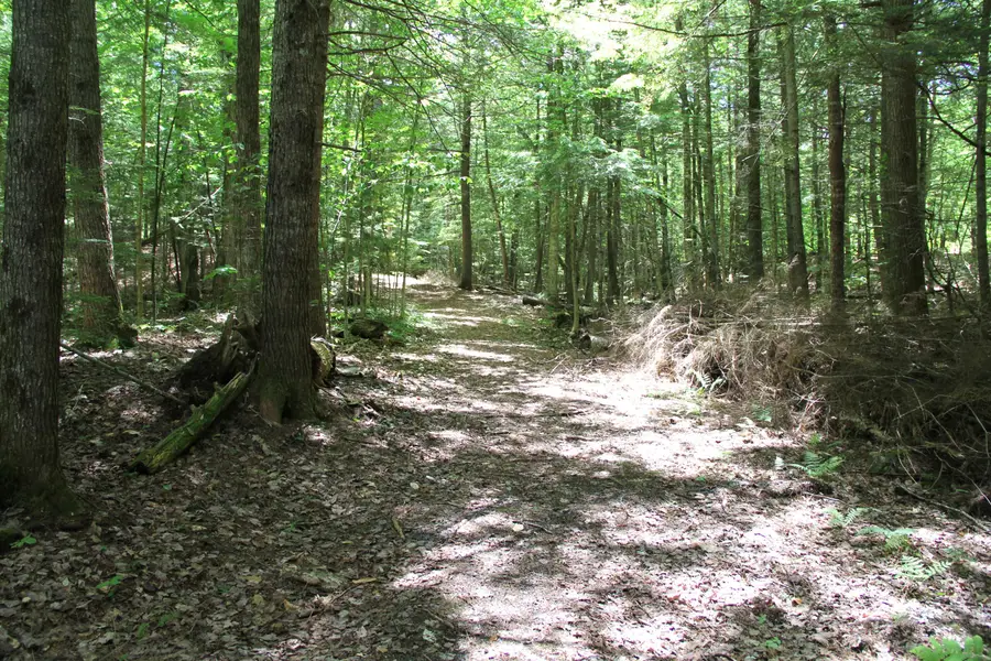 Lot 41 Salmon Road, Madison, ME 04950 - #2