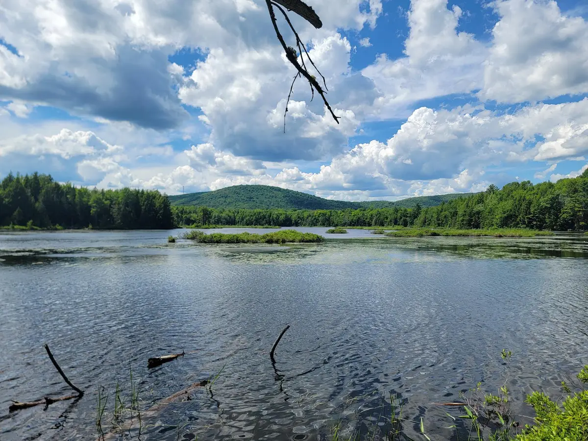 477 Hadley Mill Road, Jackson, ME 04921 - #1
