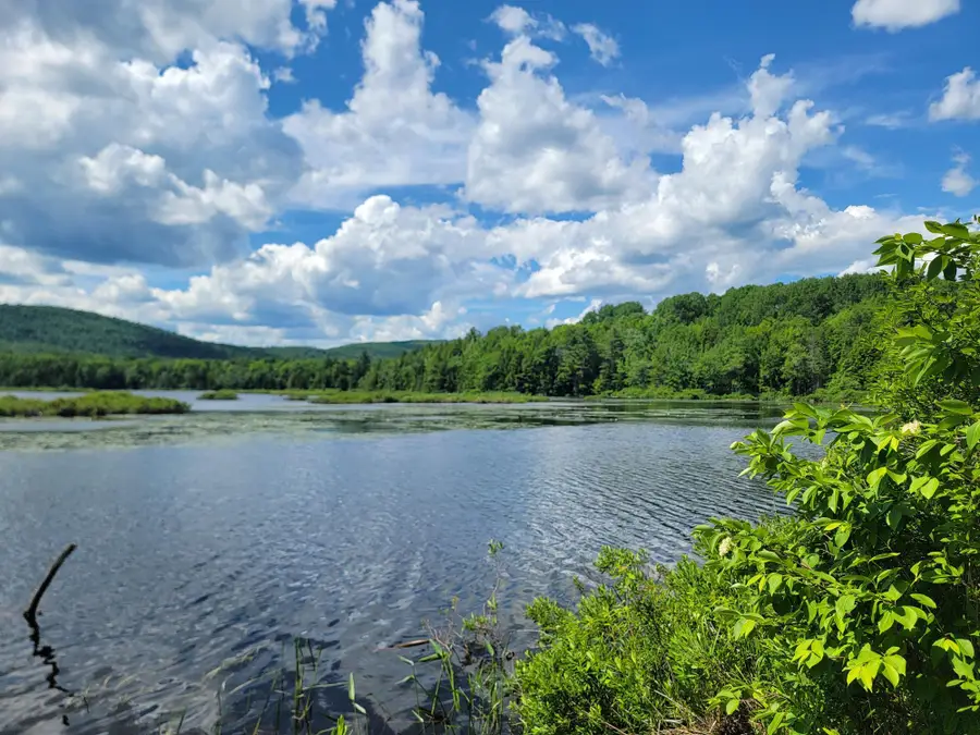 477 Hadley Mill Road, Jackson, ME 04921 - #3