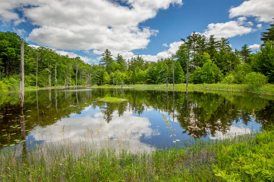 169 Patrick Mountain Lane, Washington, ME 04574 - #2
