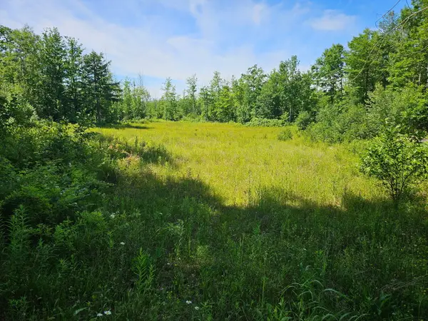 579 Maple Ridge Road, Harrison, ME 04040
