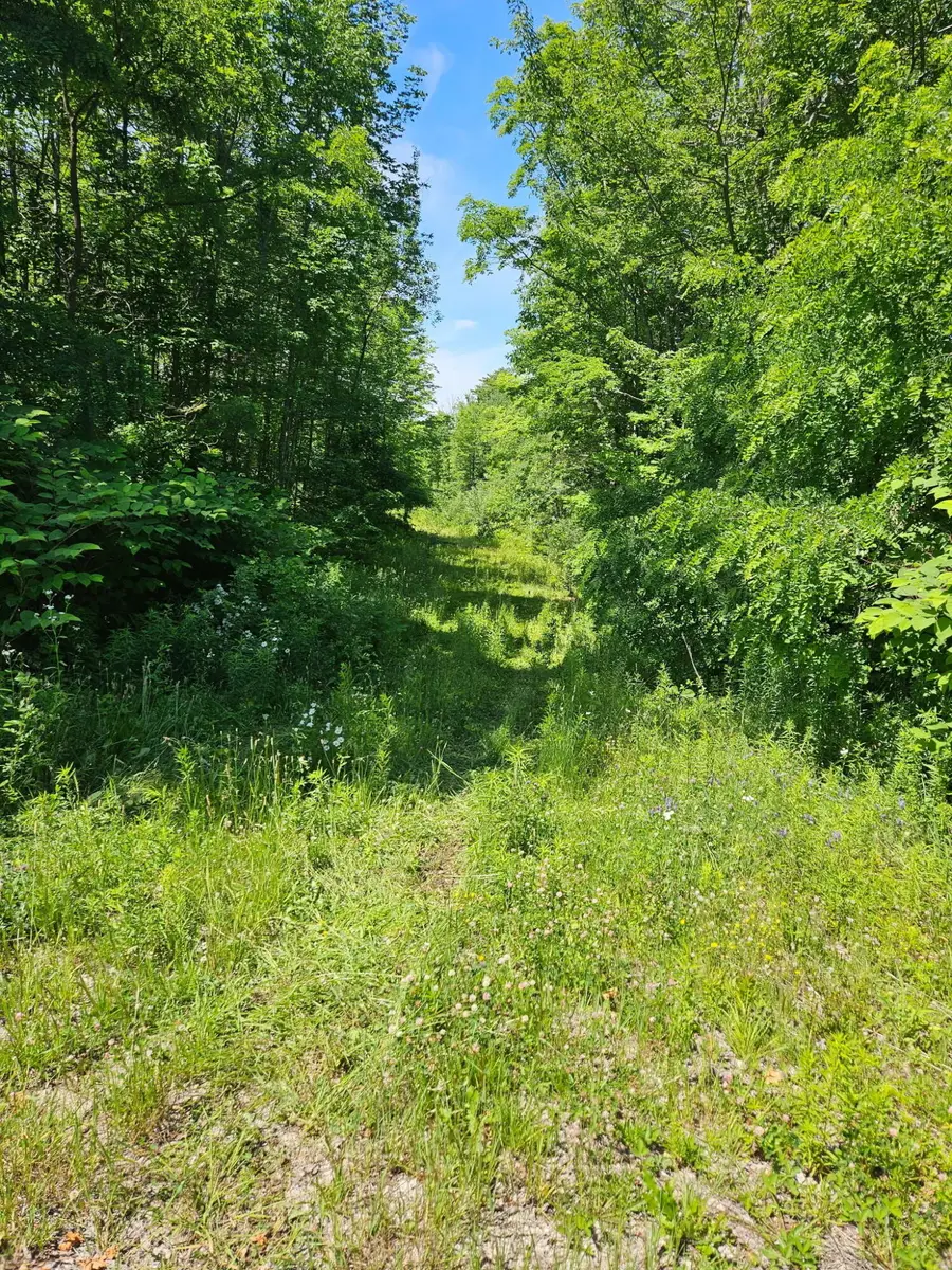 579 Maple Ridge Road, Harrison, ME 04040 - #3