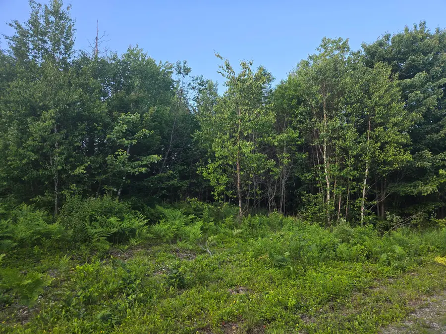 27B6/17/24 Dixie Rd, Lubec, ME 04652 - #3