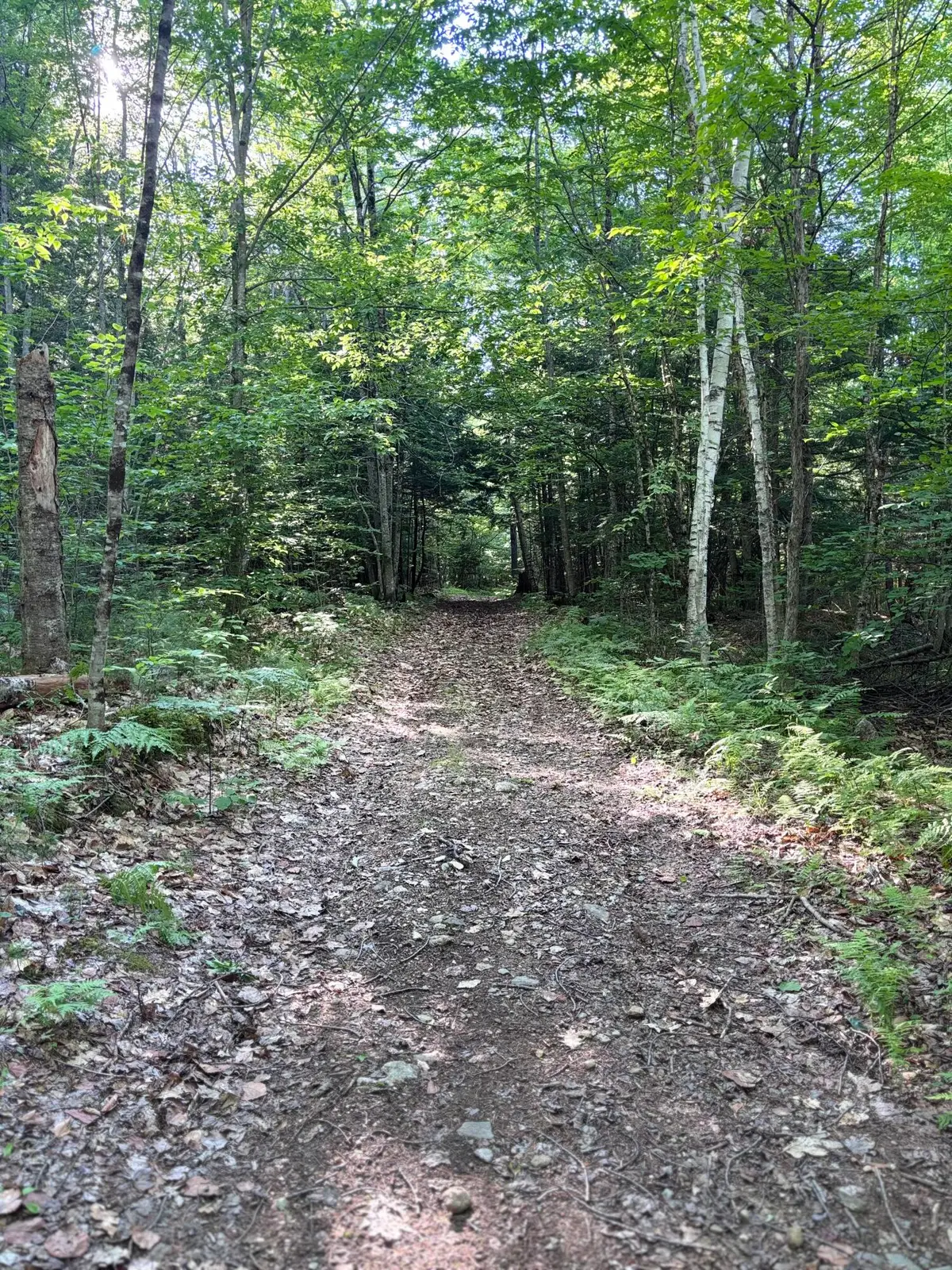 Lot #22 Streaked Mountain Road, Buckfield, ME 04220 - #1