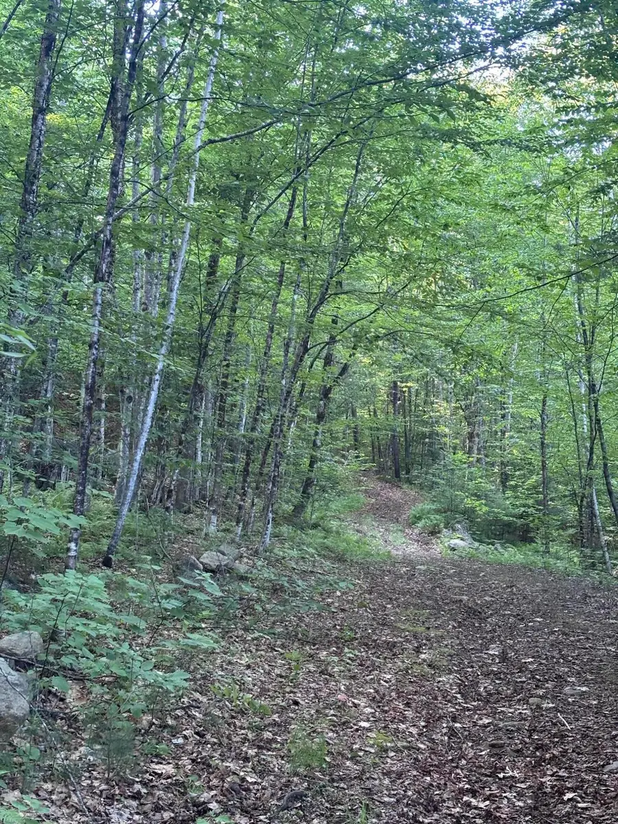 Lot #22 Streaked Mountain Road, Buckfield, ME 04220 - #3