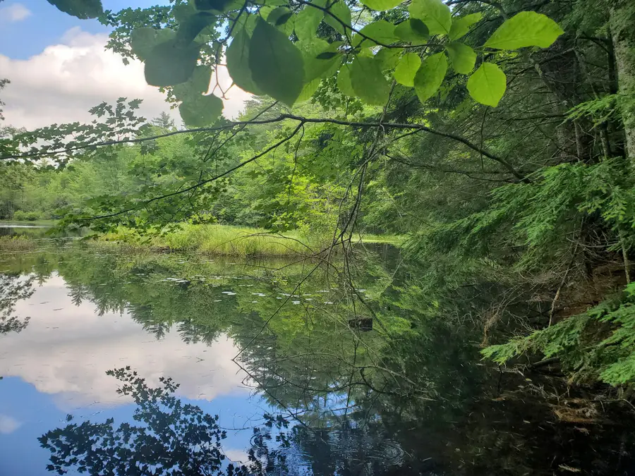 Lot #36 Beaver Brook Road, Limerick, ME 04048 - #2