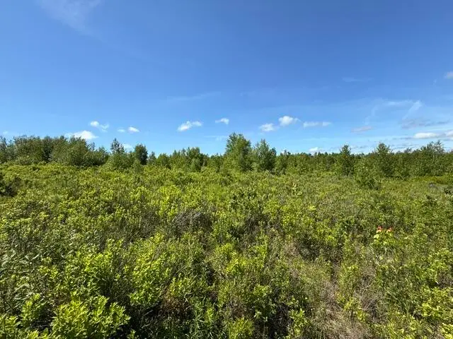 Map10LotP 214, Meddybemps, ME 04657 - #1