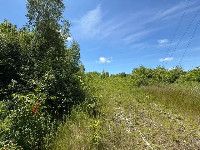 Map10LotP 214, Meddybemps, ME 04657 - #2