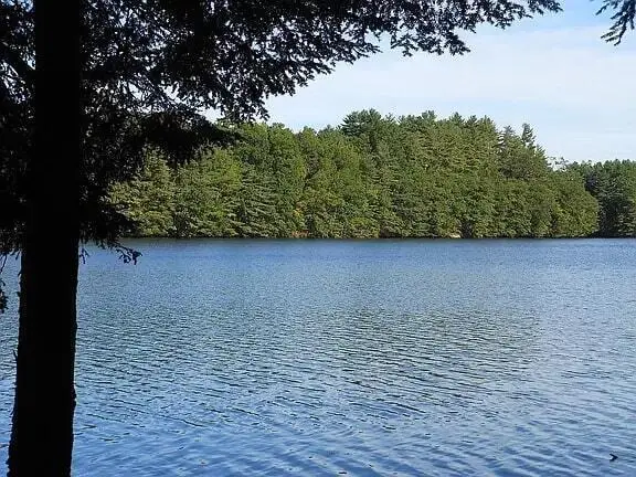 Lot 36-5 Union Falls Road, Buxton, ME 04093 - #1