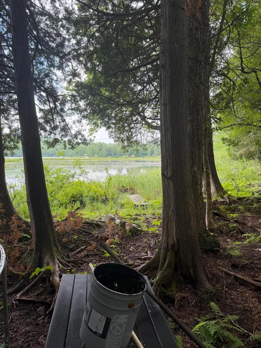 M1L112 Cove/bear Brook Road, Sebec, ME 04481 - #2