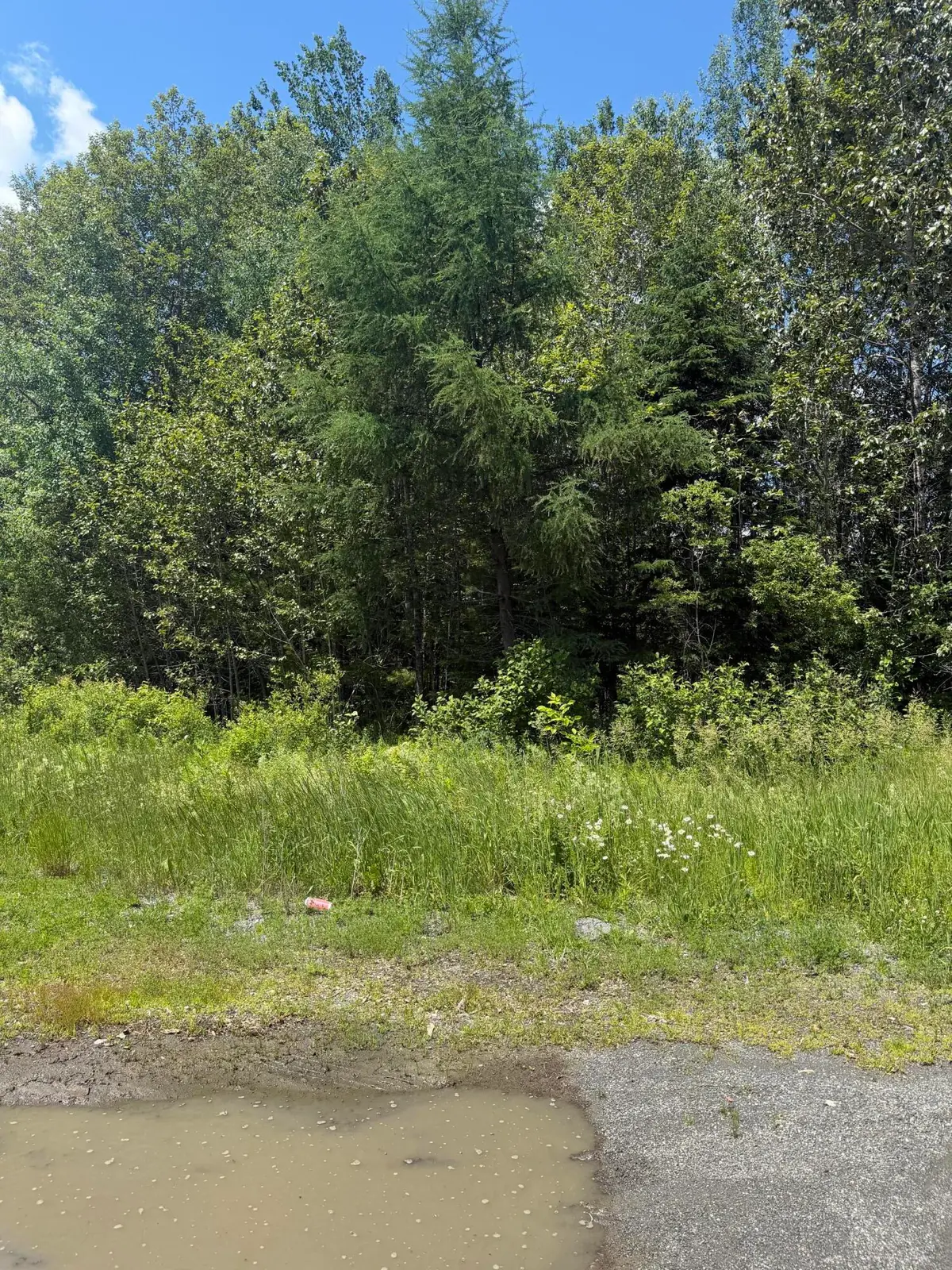 M10L18-9 Milo/hughes Road, Sebec, ME 04481 - #1