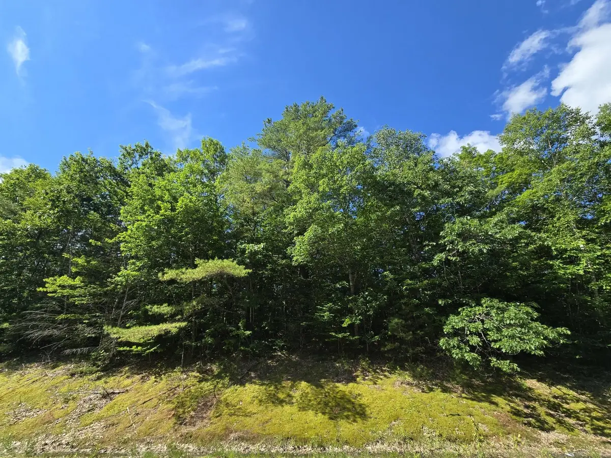Lot 67-A Temple Road, Temple, ME 04984 - #1