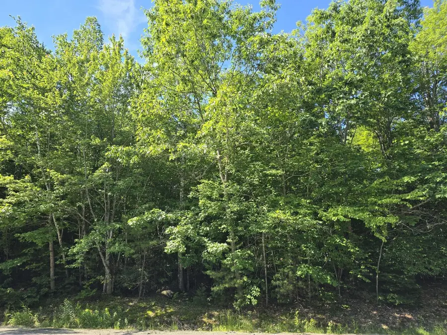 Lot 67-A Temple Road, Temple, ME 04984 - #3