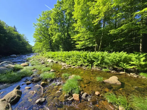 Lot 67-C Temple Road, Temple, ME 04984