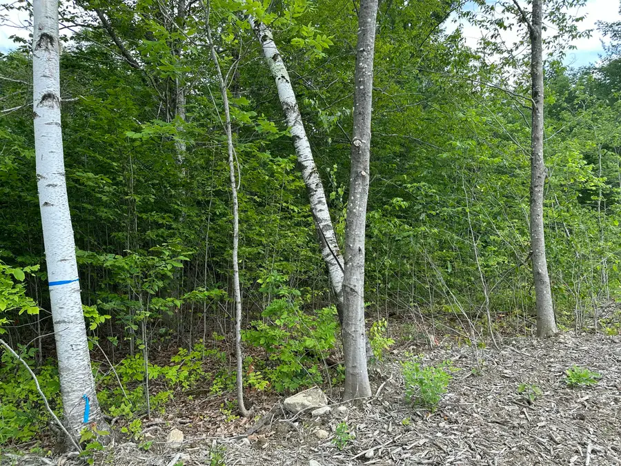 TBD Dingley Road, Bowdoinham, ME 04008 - #3