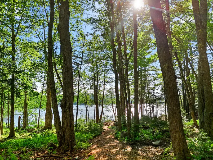 Part of Map 26 Lot 46 & 48 Mullins Bog Road, Lincolnville, ME 04849 - #3