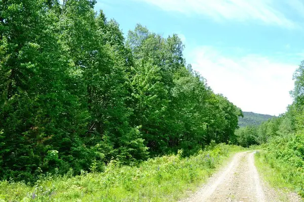 Map004/030 Ermine Road, Sandy River Plt, ME 04970