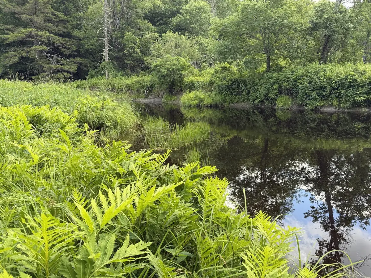 Lot 16-6 Norridgewock Road, Fairfield, ME 04937 - #1