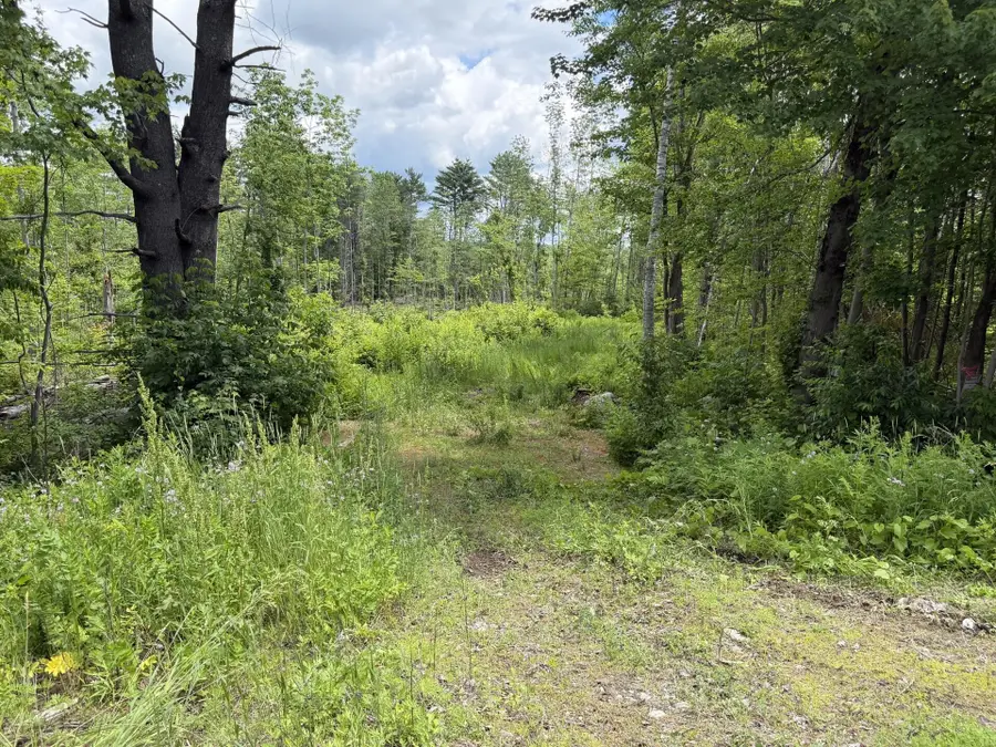 Lot 16-6 Norridgewock Road, Fairfield, ME 04937 - #3
