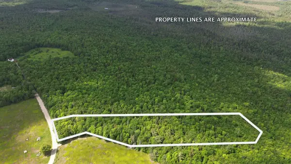 Lot 1 Martins Ridge Road, Franklin, ME 04634