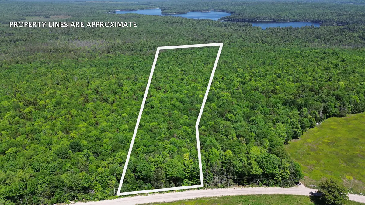 Lot 2 Martins Ridge Road, Franklin, ME 04634 - #1