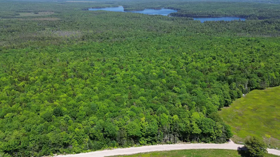 Lot 3 Martins Ridge Road, Franklin, ME 04634 - #2