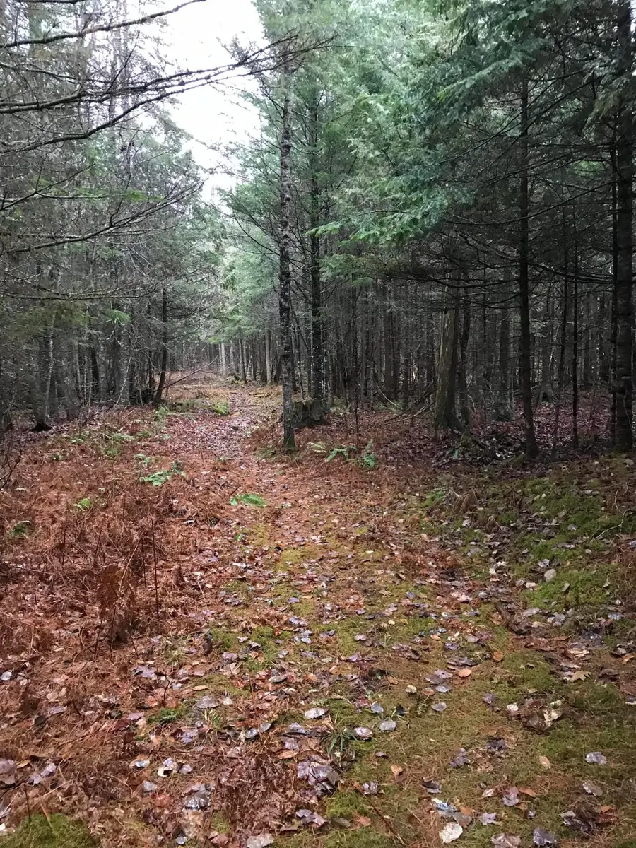 49-51 Pleasant Street, Norway, ME 04268 - #2