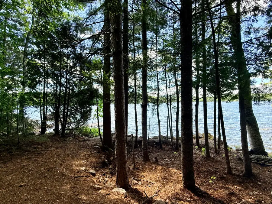 Lot #104-2 Lunt Lane, Dedham, ME 04429 - #2