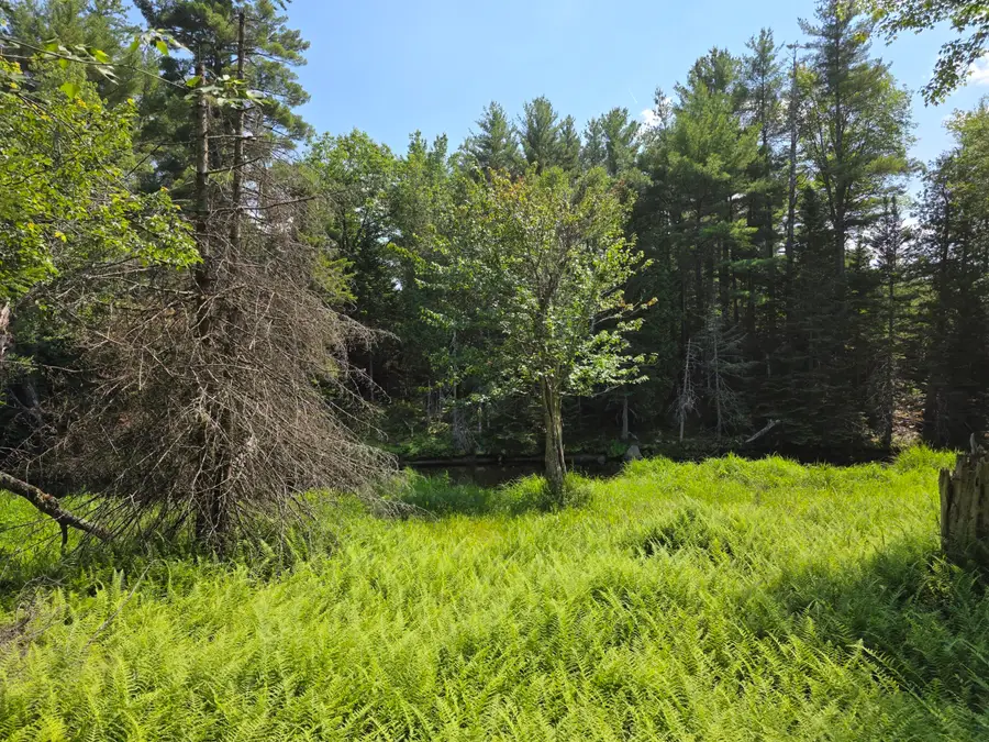 00 Brown Road, Searsmont, ME 04973 - #2