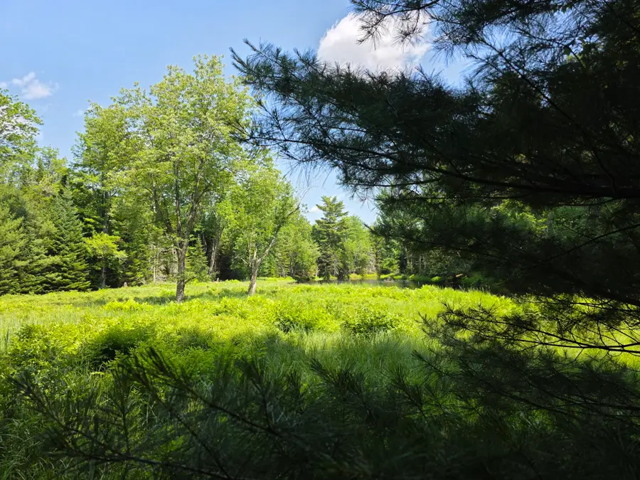 00 Brown Road, Searsmont, ME 04973 - #3