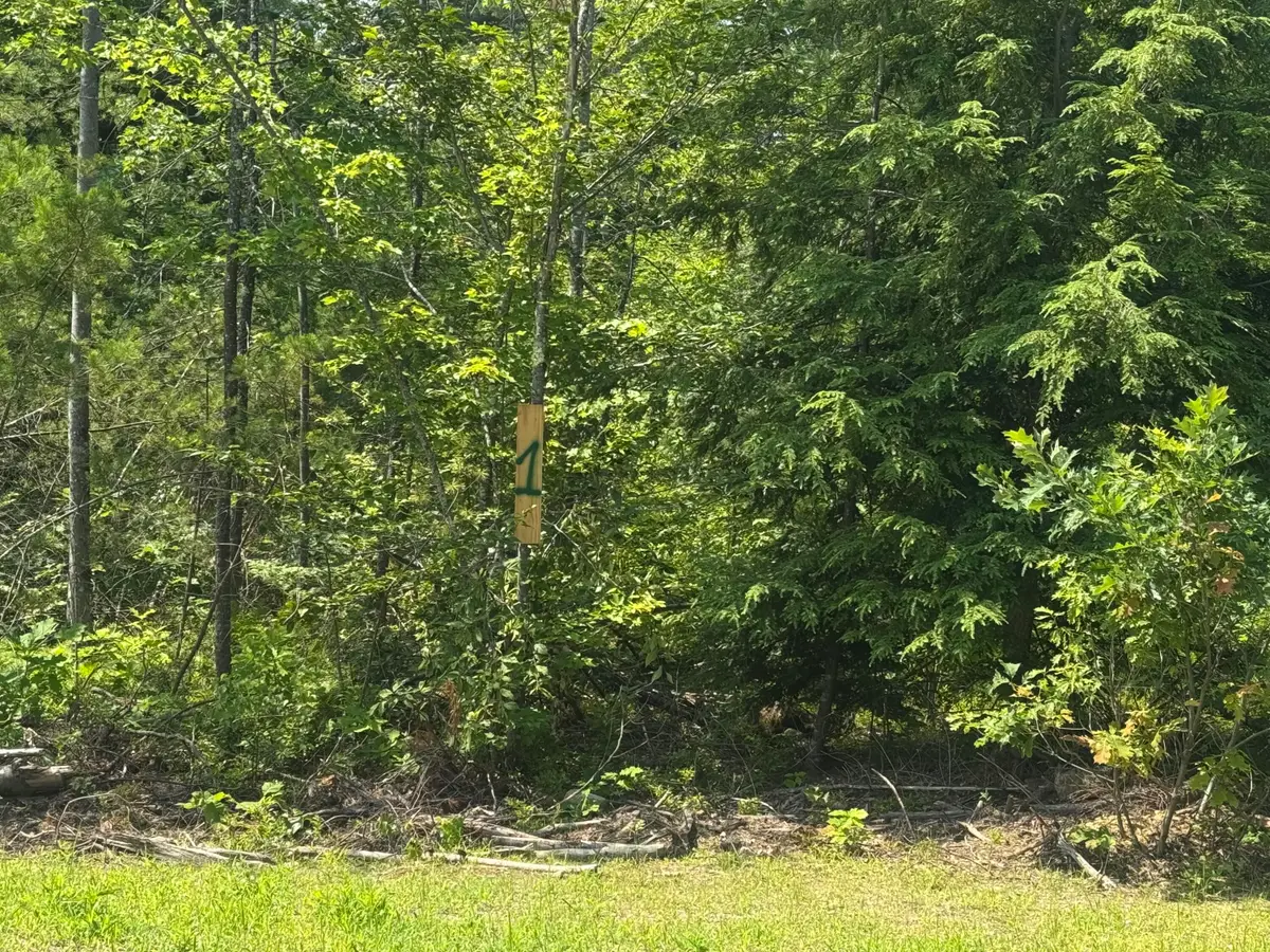 Lot 1 Young's Way, Standish, ME 04084 - #1